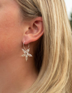 Sterling silver Star earrings - BlossomJewellery